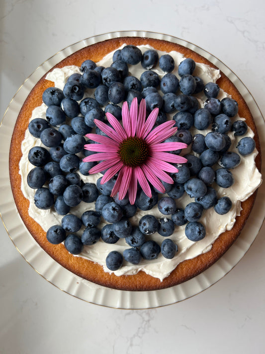 Italian Blueberry Lemon Ricotta Cake